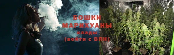 бошки Верхний Тагил