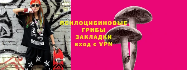 Альфа ПВП Бугульма